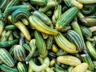 close-up of a pile of Thai cucumbers with a striking vertical striped pattern and bright yellow color
