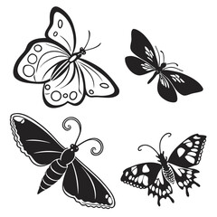 Black and white butterfly silhouettes with ornate wing patterns moth insect