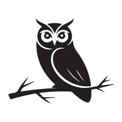 owl sitting on branch