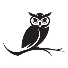 owl sitting on branch