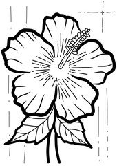 Elegant lineart of a hibiscus flower, capturing the intricate details of its petals and stamen. The scientific name, Hibiscus rosa-sinensis, adds a botanical touch to this minimalist design.