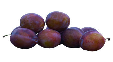 A large red ripe plum stands on a white background