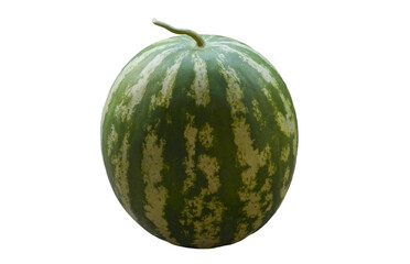A large ripe watermelon stands on a white background