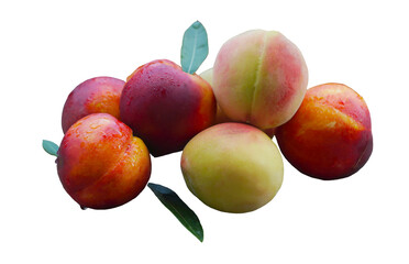 Smooth peaches arranged on a white background