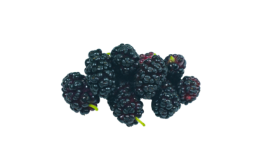 There is a bunch of black mulberries on a white background.