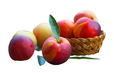 Smooth, hairless peaches in a basket on a white background