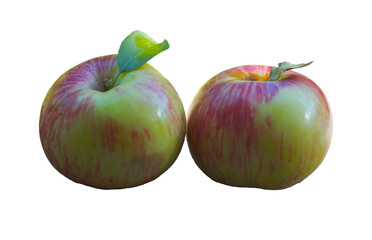 Two red apples stand on a white background.