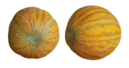 Two round yellow melons stand on a white background