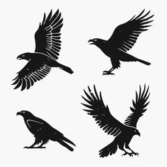 Four black eagles soaring and perched silhouettes falcon hawk