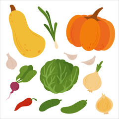 Simple flat vegetables. Colorful autumn harvest of pumpkin zucchini eggplant cabbage onion pepper cucumber potato tomato cabbage corn and carrot for healthy and vegetarian food design