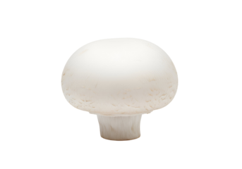 A single, whole button mushroom is prominently displayed against a black background.