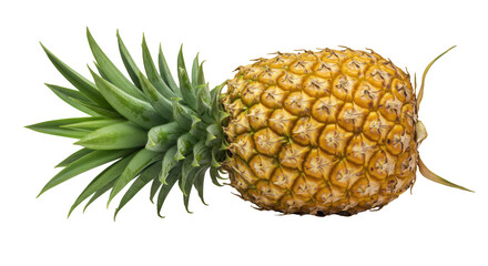 Whole ripe pineapple with green leaves on a white background.