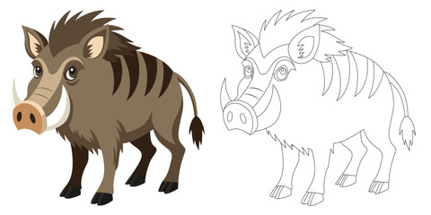 Wild boar with tusks. Colored and linear. Isolated on white background vector illustration