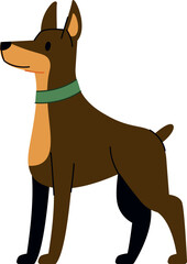 Doberman with Collar