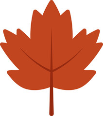 단풍잎 일러스트