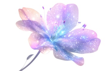 Mystical wildflower emitting soft glow isolated on transparent background