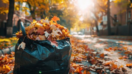 Golden Autumn Leaves in Trash Bag on Residential Street During Sunny Fall Day