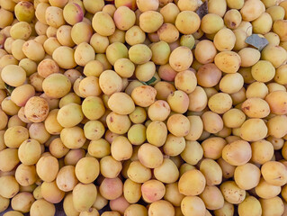close up of fresh apricot