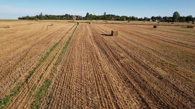 harvest time in countryside Lithuania