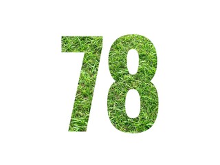 Design number 78 with grass texture isolated on white background