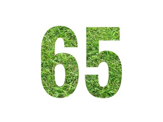Design number 65 with grass texture isolated on white background