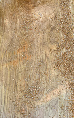 Wood texture, old wood, teak texture