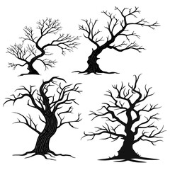 Spooky twisted bare trees spooky trees twisted branches