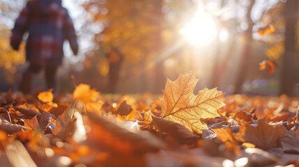 Golden Autumn Leaves on Ground with Sun Flare and Child in Background