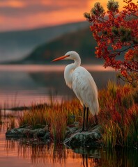 White bird stands near water with colorful foliage and sky at dusk.