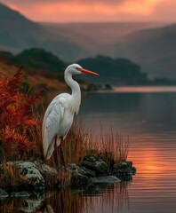 White bird stands near water with trees and sky in the background.
