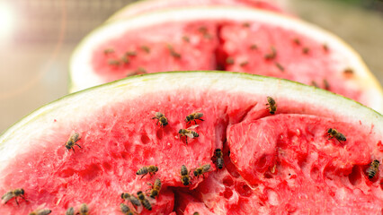 Summer's almost gone. A close-up view of several slices of watermelon, with the vibrant red flesh...