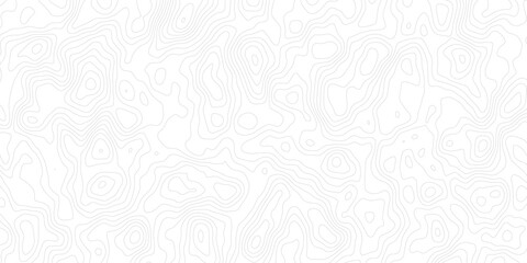 Topographic map and landscape terrain texture grid. Abstract white topography vector background, Vector geographic contour map.