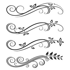 Elegant black floral scrollwork borders decorative