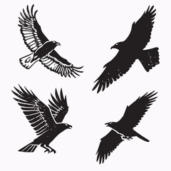 Four black eagles in flight bird flying