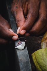 From Bean to Chocolate: Traditional Cacao Processing in Costa Rica