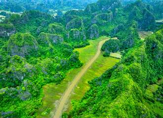 Aerial view of Tam Coc landscape with limestone mountains, river and rice field on stream in Ninh Binh, Vietnam
