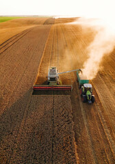 By the help of tractor. Agricultural machine harvesting wheat