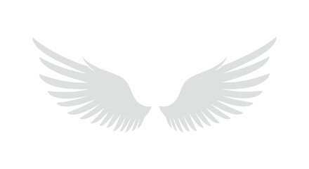 a pair of delicate white wings spread wide