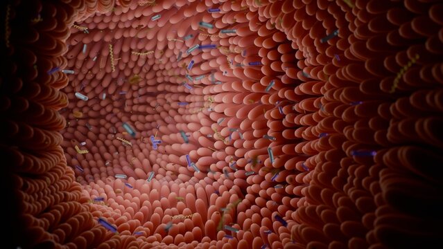 3D Render of Intestinal Microvilli Featuring Gut Microbiome Bacteria