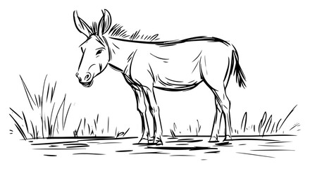 Standing donkey vector – farm animal near grass patch, rustic countryside sketch