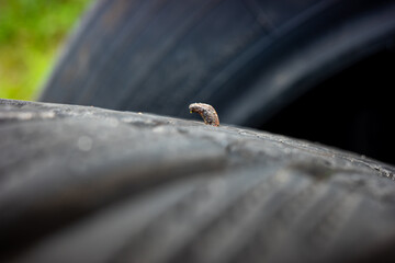 A wire sticking out of the tread of a flat tire. Tire punctures caused by road debris.
