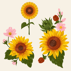sunflower with daisy clip art vector illustration minimalist