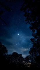 night, sky, star, moon, space, stars, tree, dark, light, blue, nature, landscape, astronomy, galaxy, black, silhouette, forest, christmas, clouds, universe, time, starry, moonlight, bright, cosmos