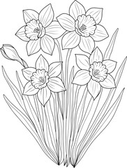Fototapeta premium hand drawn flowers. Vector line art illustration of blooming daffodil flowers with leaves. Elegant floral design for coloring books, botanical prints, or decorative projects.