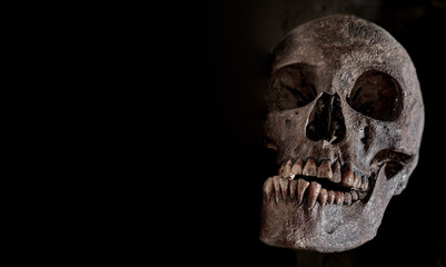 the human skull lies on the sand close up