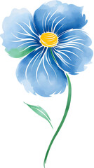 camomile on transparent background