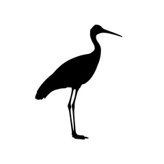 Obraz premium Crane bird silhouette side pose