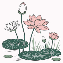 Delicate pink and white lotus flowers bloom with green lily pads and grass in serene water