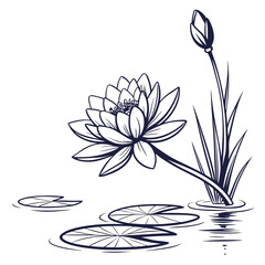 Elegant line art illustration of a blooming water lily flower with a bud and lily pads on water