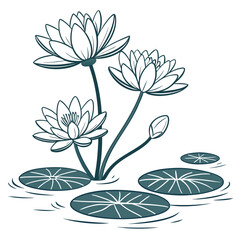 Elegant line art illustration of three blooming water lilies and a bud floating on calm water with lily pads